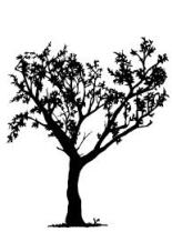 tree black white 2